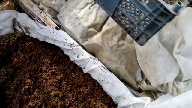 Вермиферма: Способы переселения червей смотреть онлайн