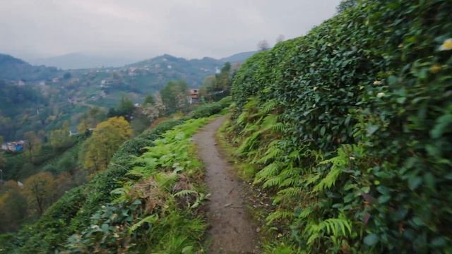 Best City Of TURKIYE: RIZE? - Let Me Show You Turkiye - Rize