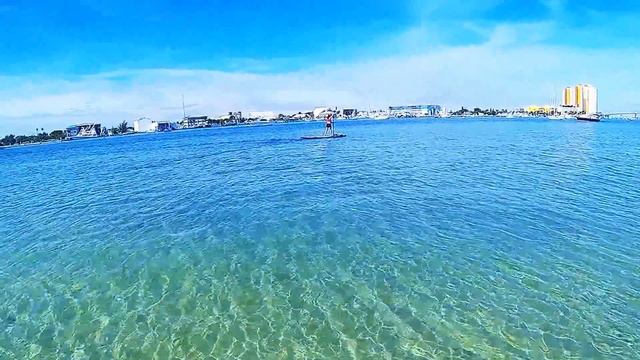 Palm Beach Paddle Board смотреть онлайн