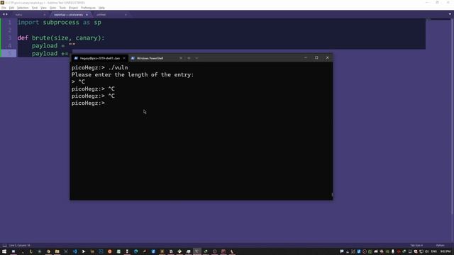 Lesson 4 | Bypassing Canary and ASLR with bruteforce смотреть онлайн