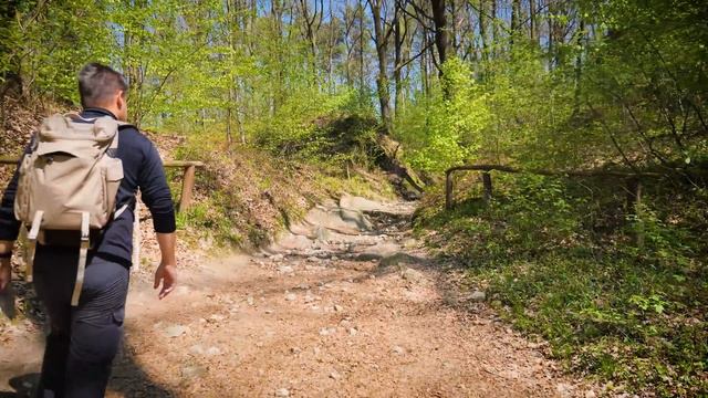 Niezwykły dwór i Skamieniałe Miasto 🏵️ Majowy koncert w sercu Małopolski смотреть онлайн