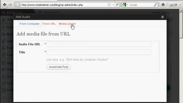 How to Use WordPress - Insert Audio or MP3 Files in WordPress смотреть онлайн