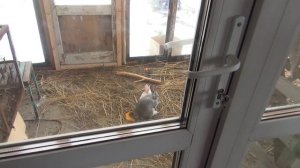 Купил кабель для подключения котла ZOTA 9кВт.