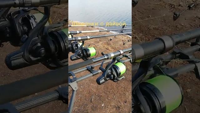 род под #рыбалка #карп #сазан #русик #shorts #tiktok #reels #trending #fishing #hunter смотреть онлайн