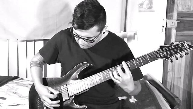The Crimson Armada - The Final Words (Guitar Cover Playthrough) смотреть онлайн