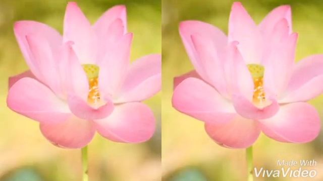 Видео для виар очков (ч.о.)