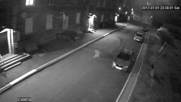 1499223388 r r r r s s r r r r s r r r res