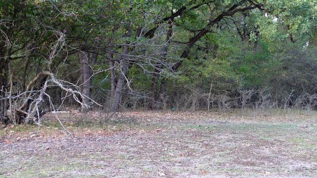 Звуки русской природы, весеннее пение птиц, звуки леса весной, релаксация души смотреть онлайн