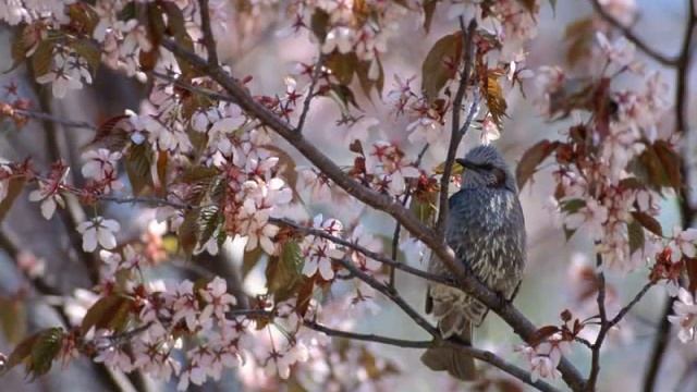 Меморандум Господа