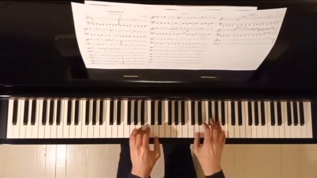 Le roi et l'oiseau - Le portrait du roi (Piano) смотреть онлайн