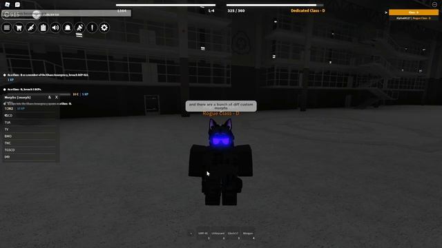 How to use Commands and Make a Private Server in SCP Roleplay | PanKakeDev смотреть онлайн