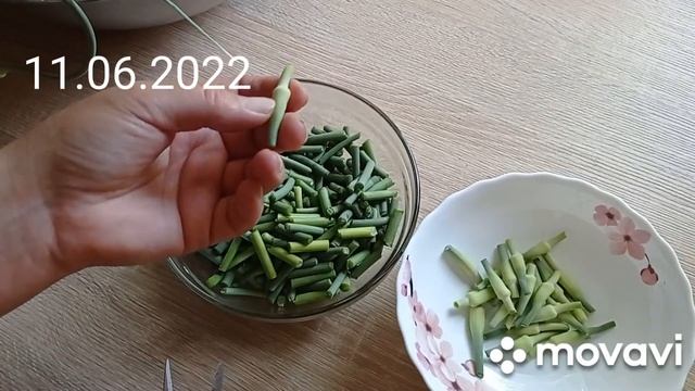 стрелки чеснока заготовка на зиму смотреть онлайн