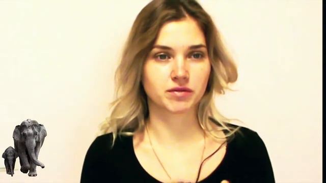 Сафари на Шри Ланке в карантин смотреть онлайн