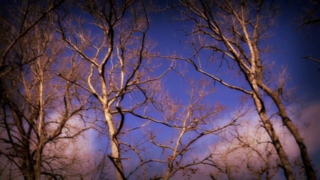 Why Christmas On December 25 Is NOT A Pagan Holiday смотреть онлайн