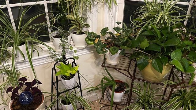 Using gRPC/Qt to create a remote GUI and control a Raspberry Pi sensor and actuator network (Part 1 смотреть онлайн