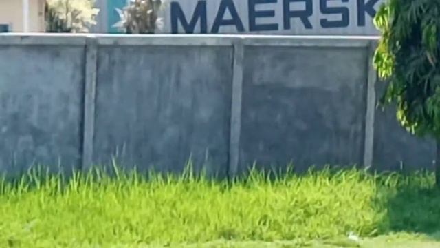 Fast grass trimmer /brush cutters смотреть онлайн