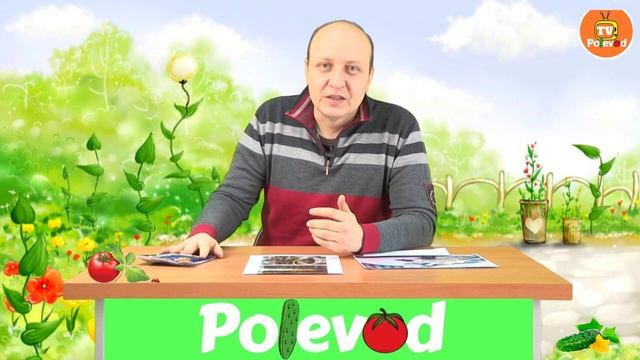 КОРНЕВЫЕ ГНИЛИ НА РАССАДЕ смотреть онлайн