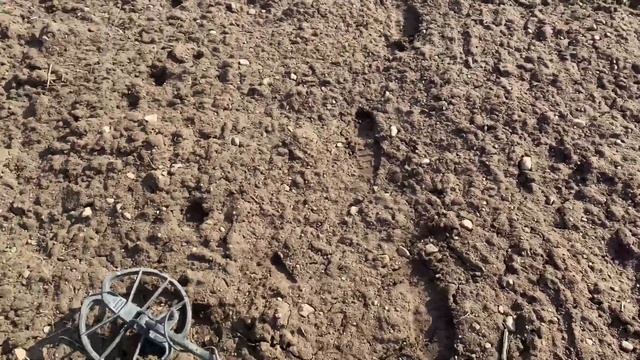 Первый выход с СИМПЛЕКСОМ в 2023 году. НАХОДКИ РАДУЮТ! #коп2023 #металлоискатель #noktamakrosimplex