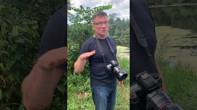 Как это снято? Как фотографировать в солнечный день. смотреть онлайн