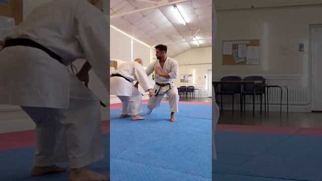 Kata Application ideas, what Kata next? #karate #shotokan#kata #martialarts#dojo#karatecombat#kumit смотреть онлайн