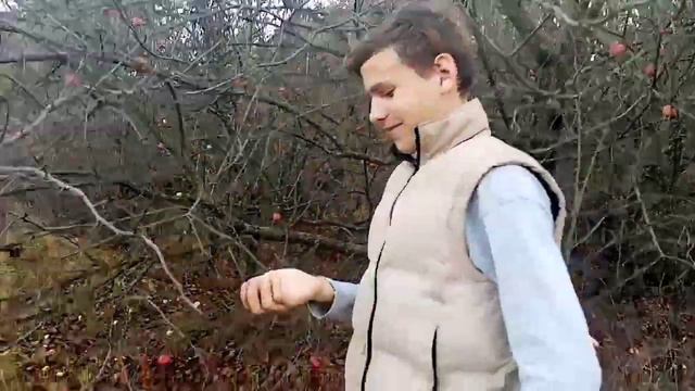 Одно-звёздочный лагер 😱. Что там произошло? смотреть онлайн