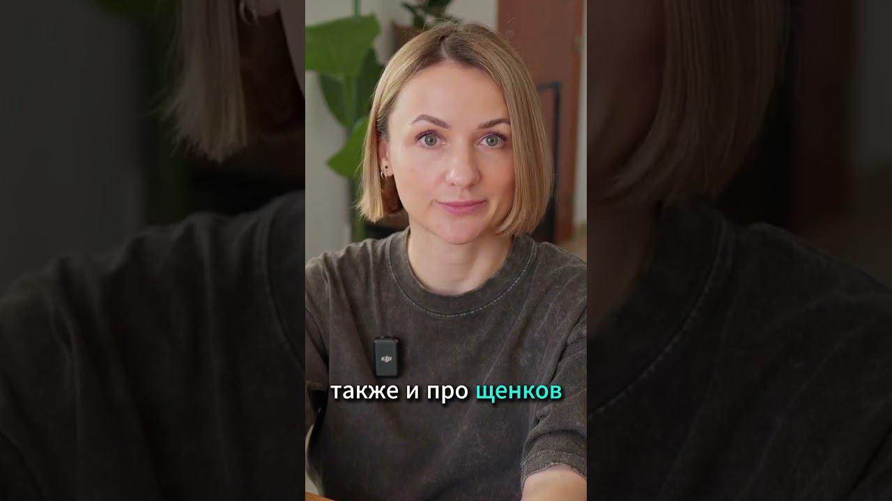 Норма поведения для щенка #shorts смотреть онлайн