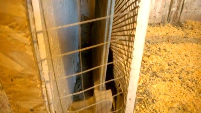 Курятник экологичный! Eco-friendly Clay Coop. смотреть онлайн