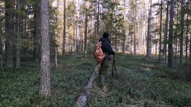 Taiga fishing in the wilderness. First snow. Alone in a remote forest. смотреть онлайн