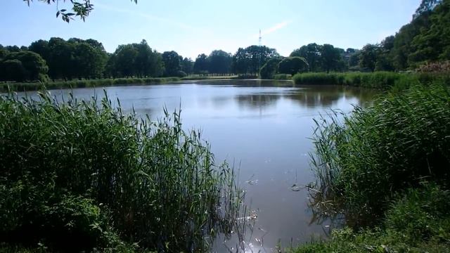 вечерний концертно-театральный влог))) смотреть онлайн