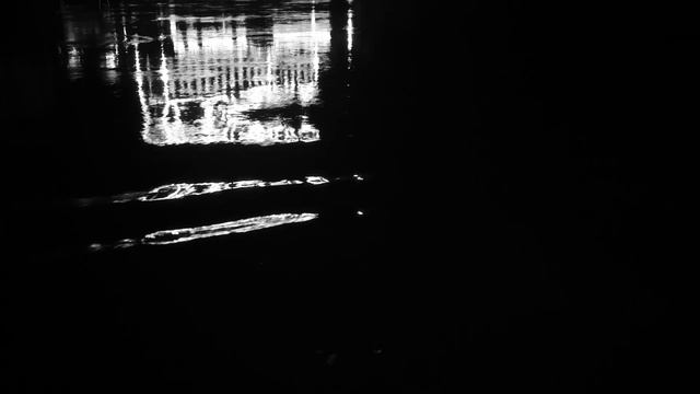 Night Dancer BLG | Shot On NIKON Z6II