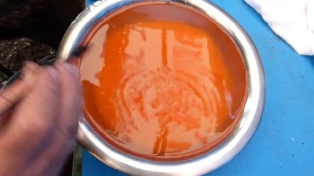 Очистка оплодотворенной икры хариуса. смотреть онлайн