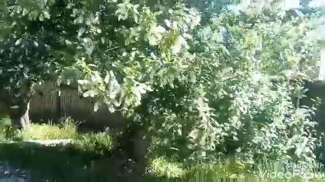 Не худо бы похудеть?Реакция сына на прогулку к новому месту. смотреть онлайн
