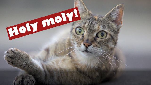 [2023 Things to know before traveling to South Korea]-House Rent смотреть онлайн