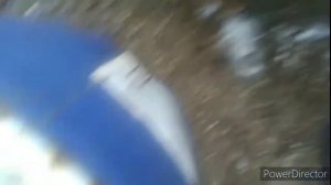 Коптильня из бочки горячего копчения за 5 минут.