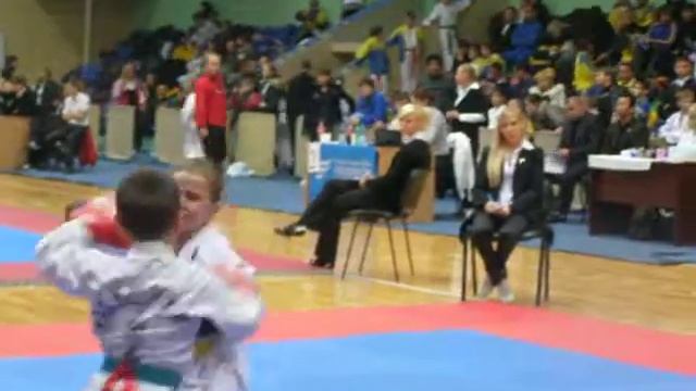 Таэквондо Кубок Украины 2010, Черкассы смотреть онлайн