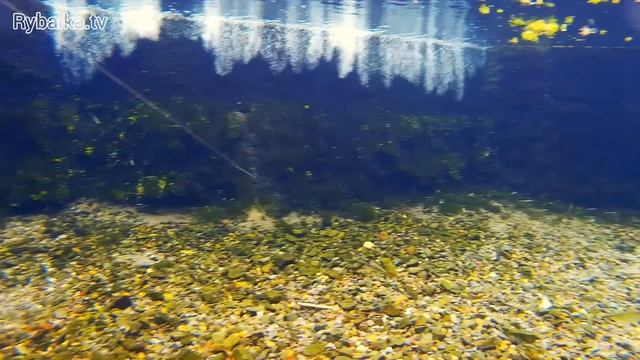 Резина Manns Cherokee. Отводной поводок и джиг. Underwater смотреть онлайн