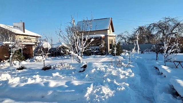 Как Снег Влияет на Сад ✅ Огород ✅ Много Снега Вред или Польза #garden #сад #огород #снег смотреть онлайн