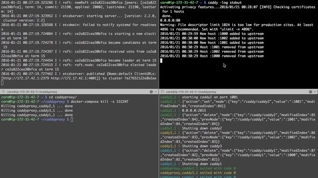 Caddy dynamic proxy смотреть онлайн