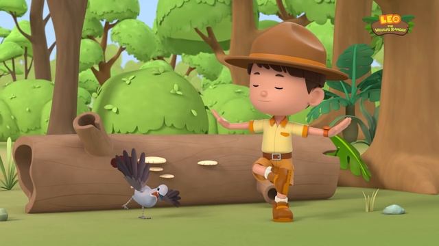 Superb Lyrebird | Help the City Bird Make New Friends in the Forest! Leo the Wildlife Ranger смотреть онлайн