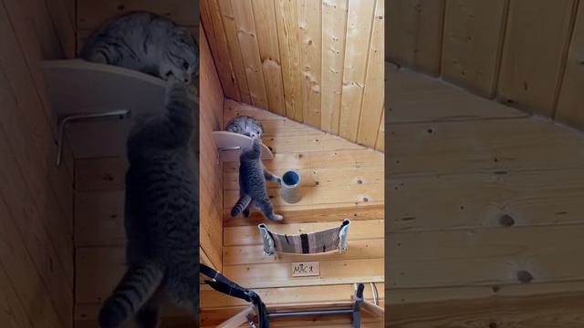 Эпичная битва смотреть онлайн