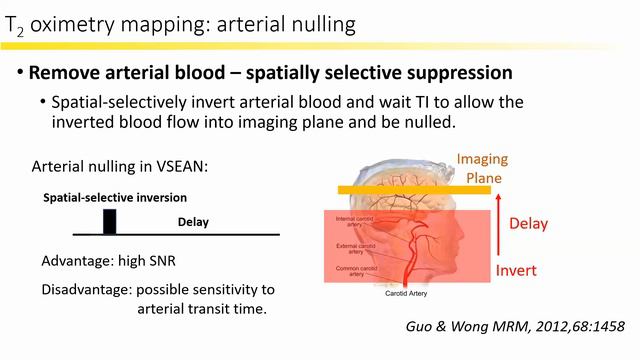 ICP webinar: MRI measurement of OEF using T2-oximetry смотреть онлайн
