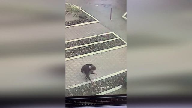 Нам пишут. Хватит вырывать цветы! смотреть онлайн