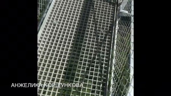 SkyPark Сочи. Подвесной мост