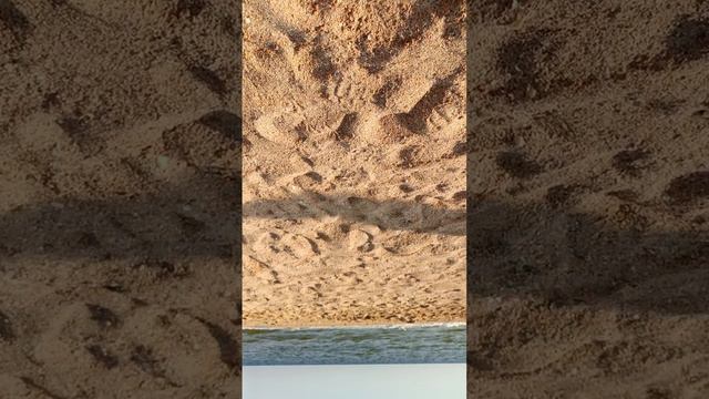 Утренняя прогулка к морю смотреть онлайн