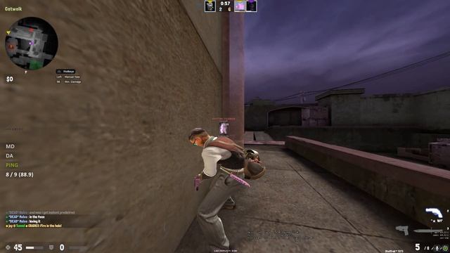 [2v2] pirex x CL vs brandon (sk33t crack) x Malva | ft. NL смотреть онлайн