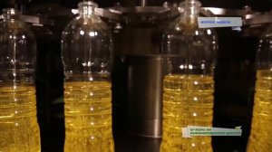 Яд в сковороде: чем опасно рафинированное масло?