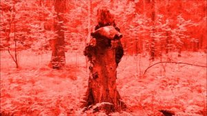 Звук (гул) летящего в небе турбовинтового самолета