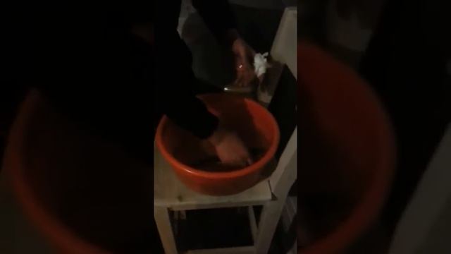 Налим в реке Колокша. Ловля налима ночью! смотреть онлайн