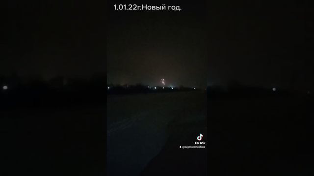 1.01.22г.Новый год,вышли посмотреть на салют смотреть онлайн