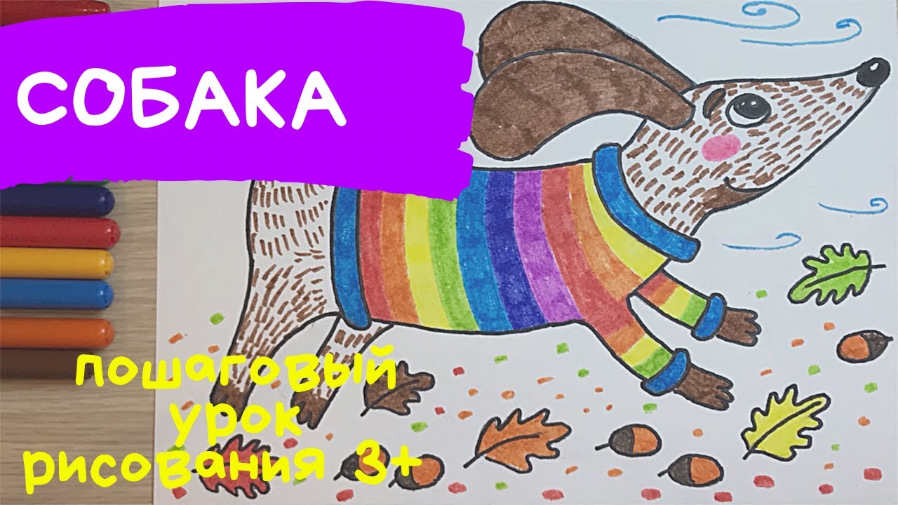 Собака рисунок. Рисунки домашних животных. Собака рисунок для детей. Такса рисунок маркерами смотреть онлайн